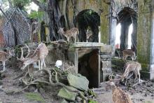 Ross Island Andaman