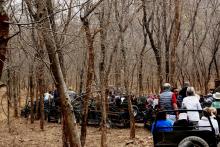 Tiger Tourists