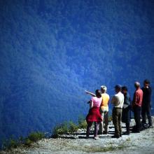 Tourist Birders