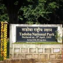 TNP Maharastra