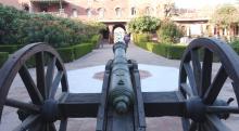 Mini Canon