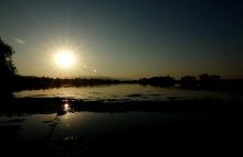 Marshy Lake