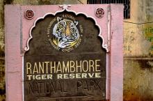 Rtr Sanctuary