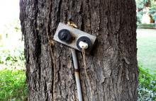 Trunk Call