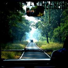 Jungle Highway