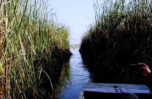 Reed Tunnel